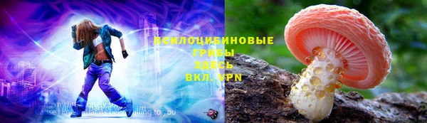молекула духа Балахна