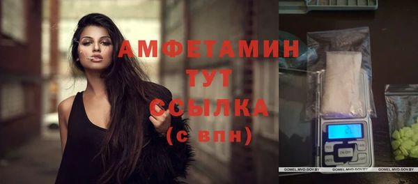 ПСИЛОЦИБИНОВЫЕ ГРИБЫ Апатиты